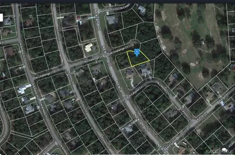 2994 W Challenge Ct, Citrus Springs, FL 34434