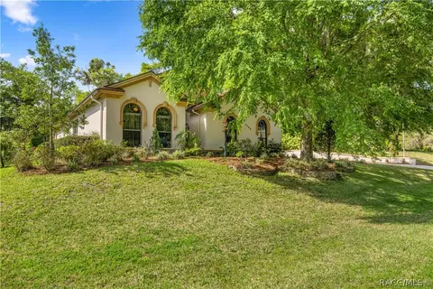 Exterior - 3194 N Chandler Dr, Hernando, FL 34442 photo 4 of 32