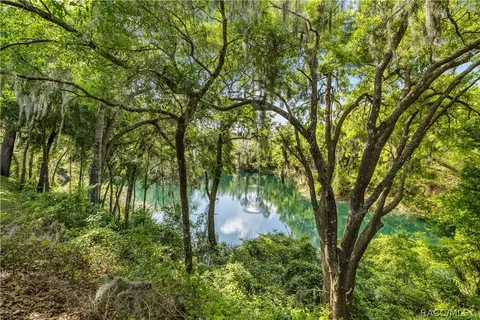 View/Area - 3194 N Chandler Dr, Hernando, FL 34442 photo 7 of 15