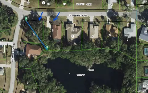 View/Area - 3194 N Chandler Dr, Hernando, FL 34442 photo 2 of 15