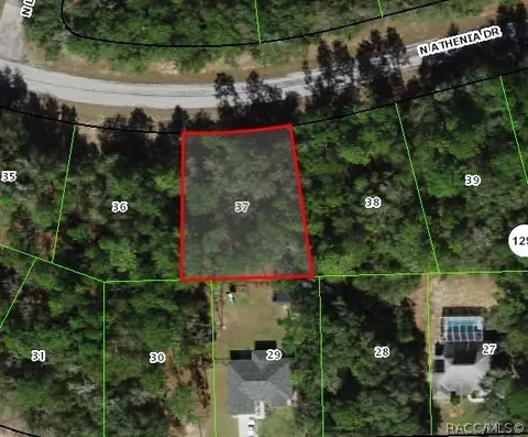 10230 N Athenia Dr, Citrus Springs, FL 34434