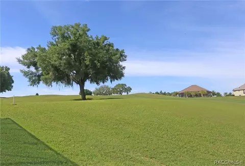 Exterior - 598 W Doerr Path, Hernando, FL 34442 photo 10 of 16