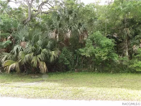 10406 E Freddy St, Inverness, FL 34450