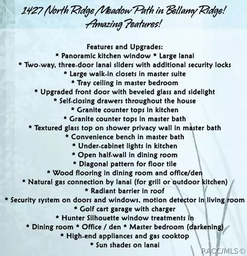 Floorplan - 1427 N Ridge Meadow Path, Hernando, FL 34442 photo 1 of 4