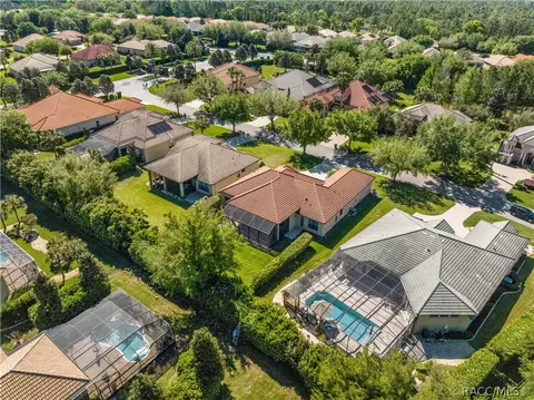 View/Area - 1427 N Ridge Meadow Path, Hernando, FL 34442 photo 4 of 15