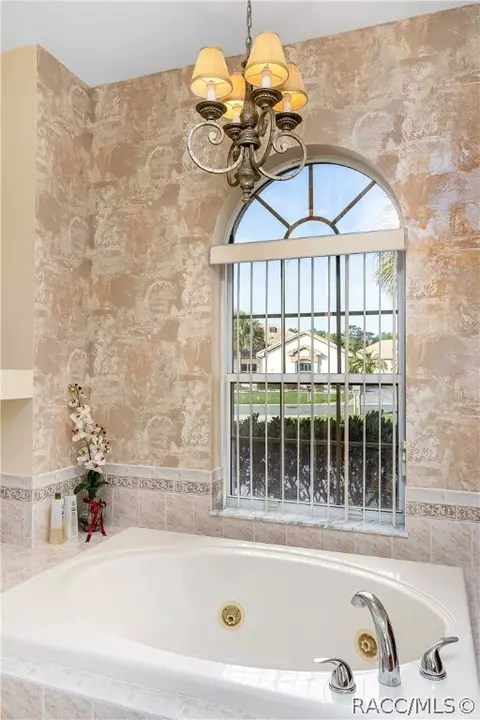 Bath - 1807 N Musial Pt, Hernando, FL 34442 photo 4 of 6