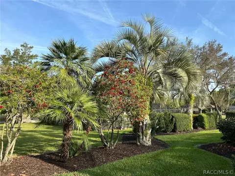 Exterior - 1807 N Musial Pt, Hernando, FL 34442 photo 22 of 26