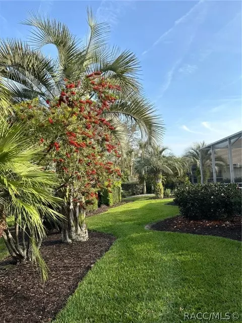 Exterior - 1807 N Musial Pt, Hernando, FL 34442 photo 23 of 26