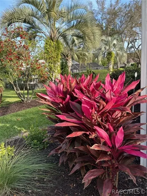 Other - 1807 N Musial Pt, Hernando, FL 34442 photo 17 of 25