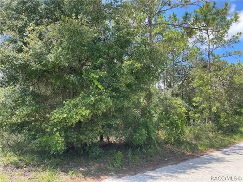 6750 E Suburban Ln, Floral City, FL 34436