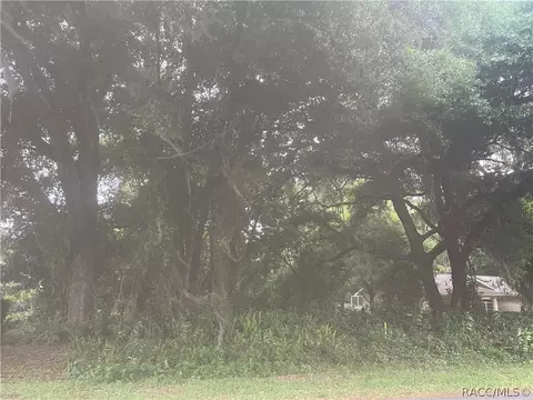 2880 N Chandler Dr, Hernando, FL 34442