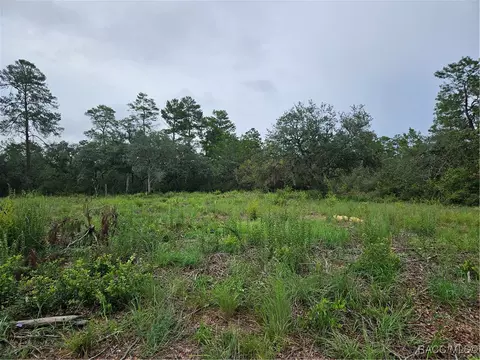 4208 W Vicksburg Dr, Citrus Springs, FL 34433