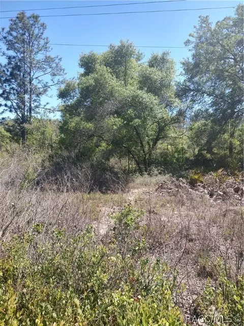 Tbd SW 158th Lane, Dunnellon, FL 34432