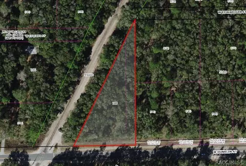 8010 N Front Dr, Dunnellon, FL 34433
