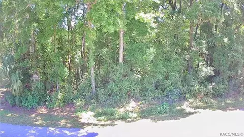 187 N Rooks Ave, Inverness, FL 34453