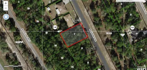 9890 N Quarry Dr Citrus Springs Dr, Citrus Springs, FL 34434