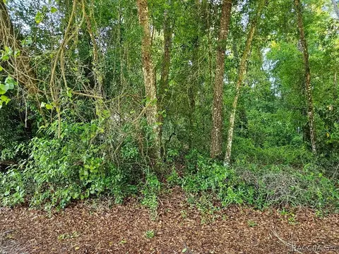 6506 E Glencoe St, Inverness, FL 34452
