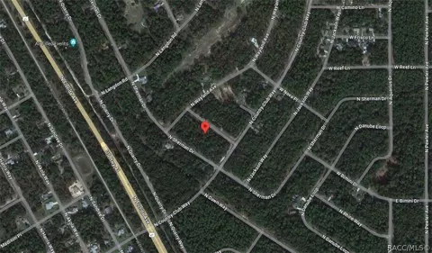 396 W Parrot Pl, Citrus Springs, FL 34434