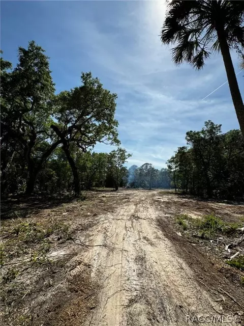 7238 N Nature Trl, Hernando, FL 34442 photo 2