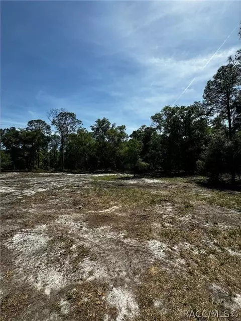 7238 N Nature Trl, Hernando, FL 34442 photo 8