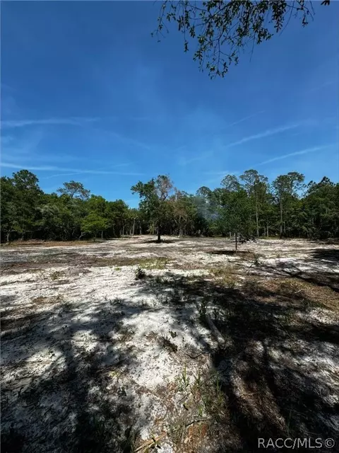 7238 N Nature Trl, Hernando, FL 34442 photo 9