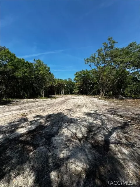 7238 N Nature Trl, Hernando, FL 34442 photo 5