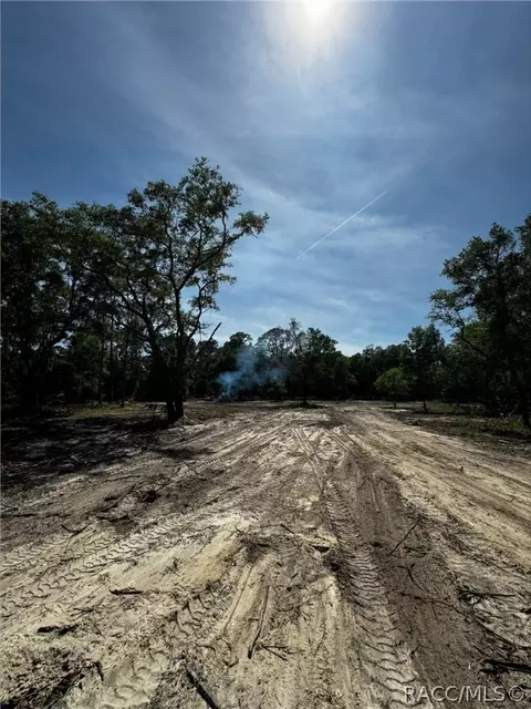 7238 N Nature Trl, Hernando, FL 34442 photo 6
