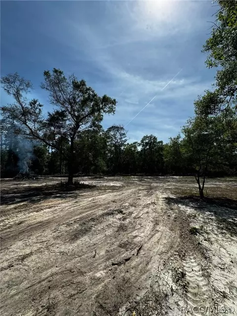 7238 N Nature Trl, Hernando, FL 34442 photo 3