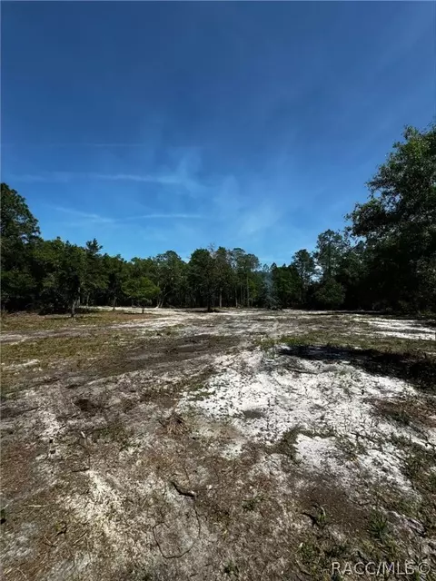 7238 N Nature Trl, Hernando, FL 34442 photo 7