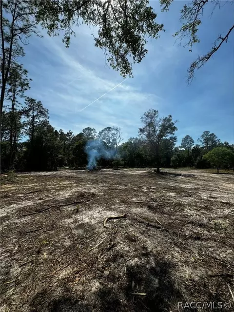 7238 N Nature Trl, Hernando, FL 34442 photo 4