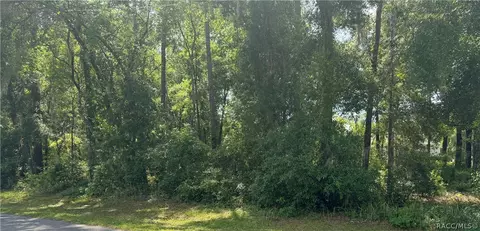6676 E Holly St, Inverness, FL 34452