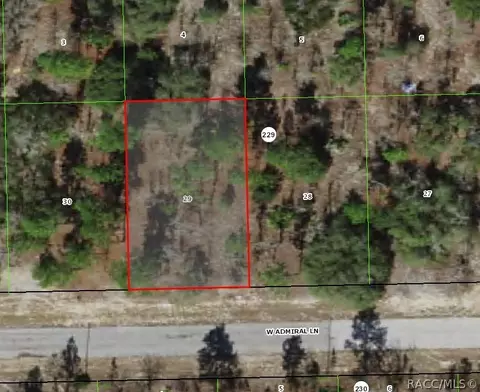 2909 W Admiral Ln, Citrus Springs, FL 34433