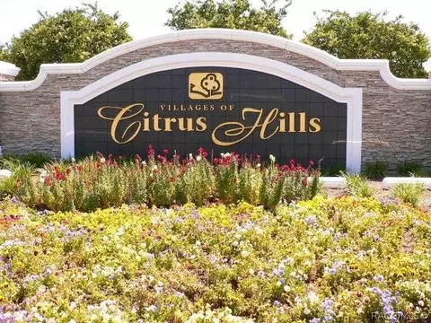 View/Area - 305 W Doerr Path, Hernando, FL 34442 photo 1 of 8