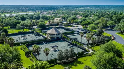 View/Area - 305 W Doerr Path, Hernando, FL 34442 photo 7 of 8