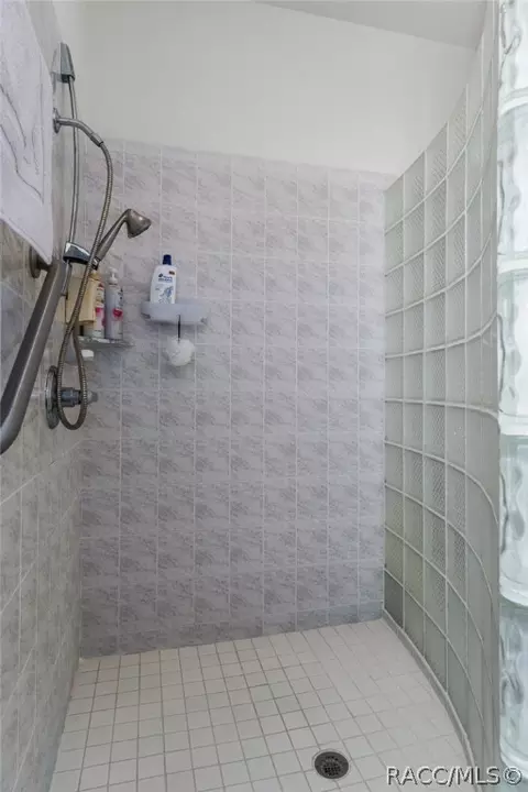 Bath - 305 W Doerr Path, Hernando, FL 34442 photo 6 of 8