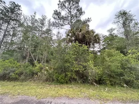 9112 N Black Oak Way, Crystal River, FL 34428