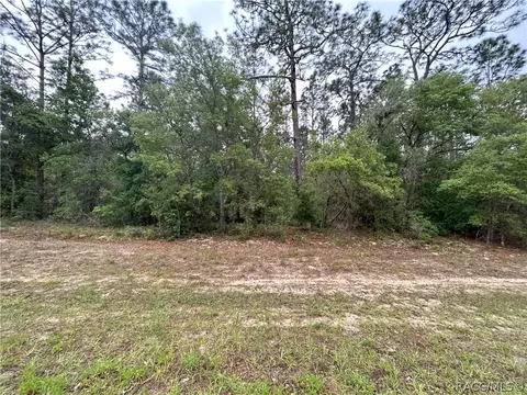 1594 W Donner Dr, Citrus Springs, FL 34434