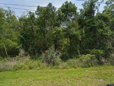 5959 E Willow St, Inverness, FL 34452
