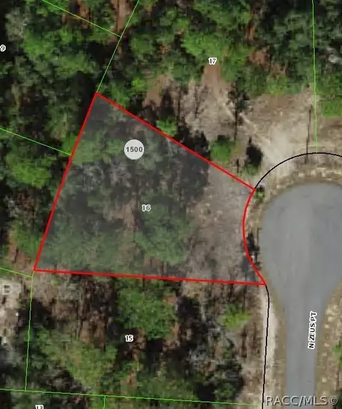 11336 N Zeus Pt, Citrus Springs, FL 34433