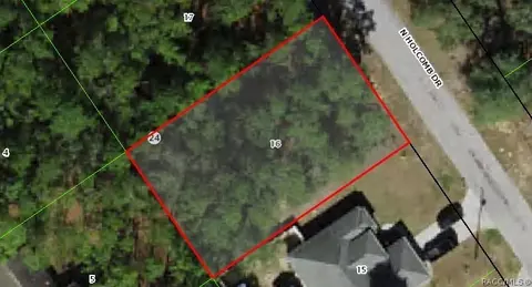 10378 N Holcomb Dr, Citrus Springs, FL 34434