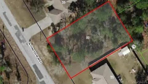 9559 N Pineview Way, Citrus Springs, FL 34434