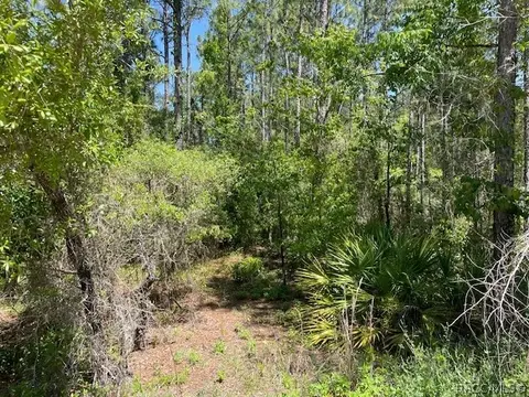 6473 W Baghdad St, Dunnellon, FL 34433