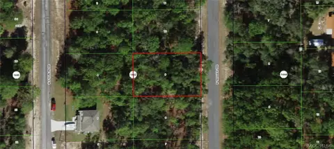 11048 N Trigger Ter, Citrus Springs, FL 34433