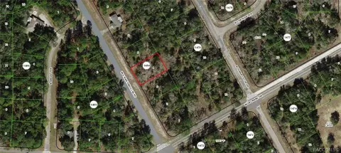 1761 W G Martinelli Blvd, Citrus Springs, FL 34434