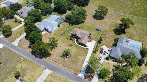 View/Area - 1341 N Hambletonian Dr, Hernando, FL 34442 photo 6 of 13