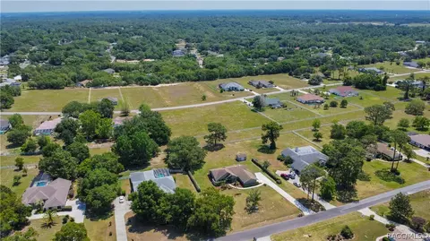 View/Area - 1341 N Hambletonian Dr, Hernando, FL 34442 photo 8 of 13