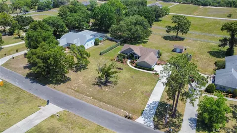 View/Area - 1341 N Hambletonian Dr, Hernando, FL 34442 photo 5 of 13