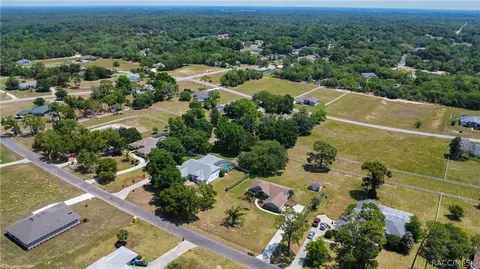 View/Area - 1341 N Hambletonian Dr, Hernando, FL 34442 photo 9 of 13