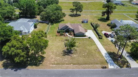 View/Area - 1341 N Hambletonian Dr, Hernando, FL 34442 photo 4 of 13