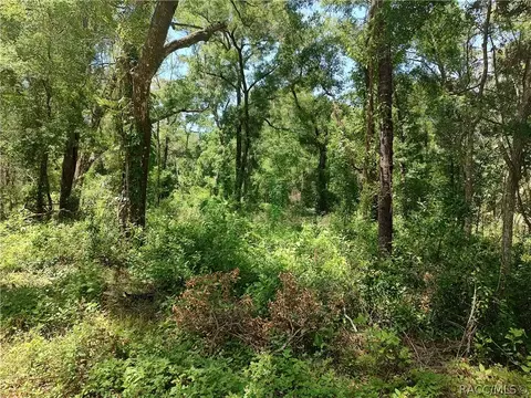 7848 N Hamilton Rd, Dunnellon, FL 34433